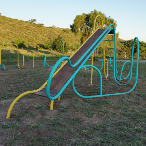DSC05142